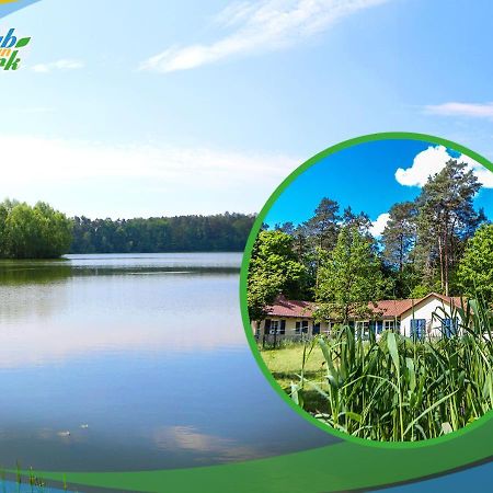 Jagd-Angler-Suite-03-Im-Wald-Am-See Kyritz Exterior photo